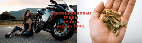 дживик Алзамай